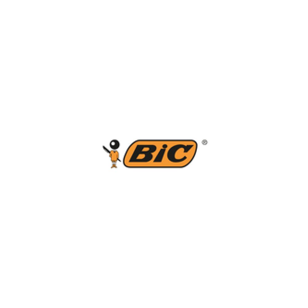 BIC Logo