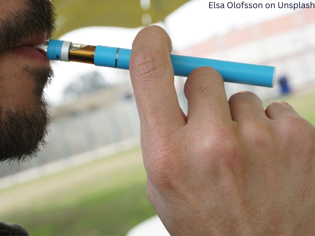 BEST DISPOSABLES OF 2022